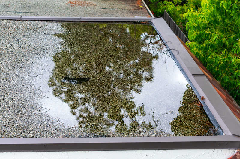 Ponding standing water on a flat roof after heavy rain.