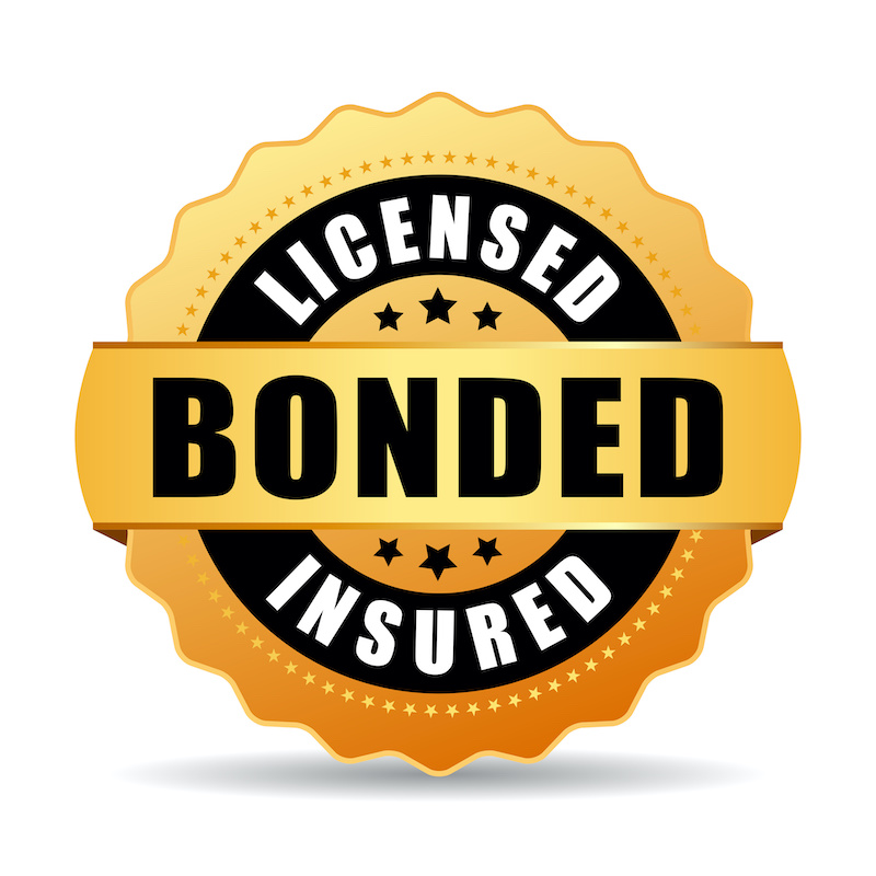 Licensed bonded insured vector icon for window cleaning
